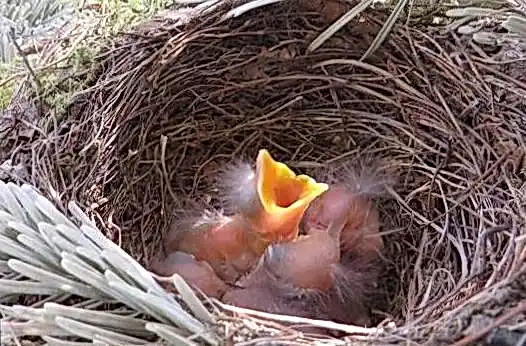 Мегапари казино cf6ca1